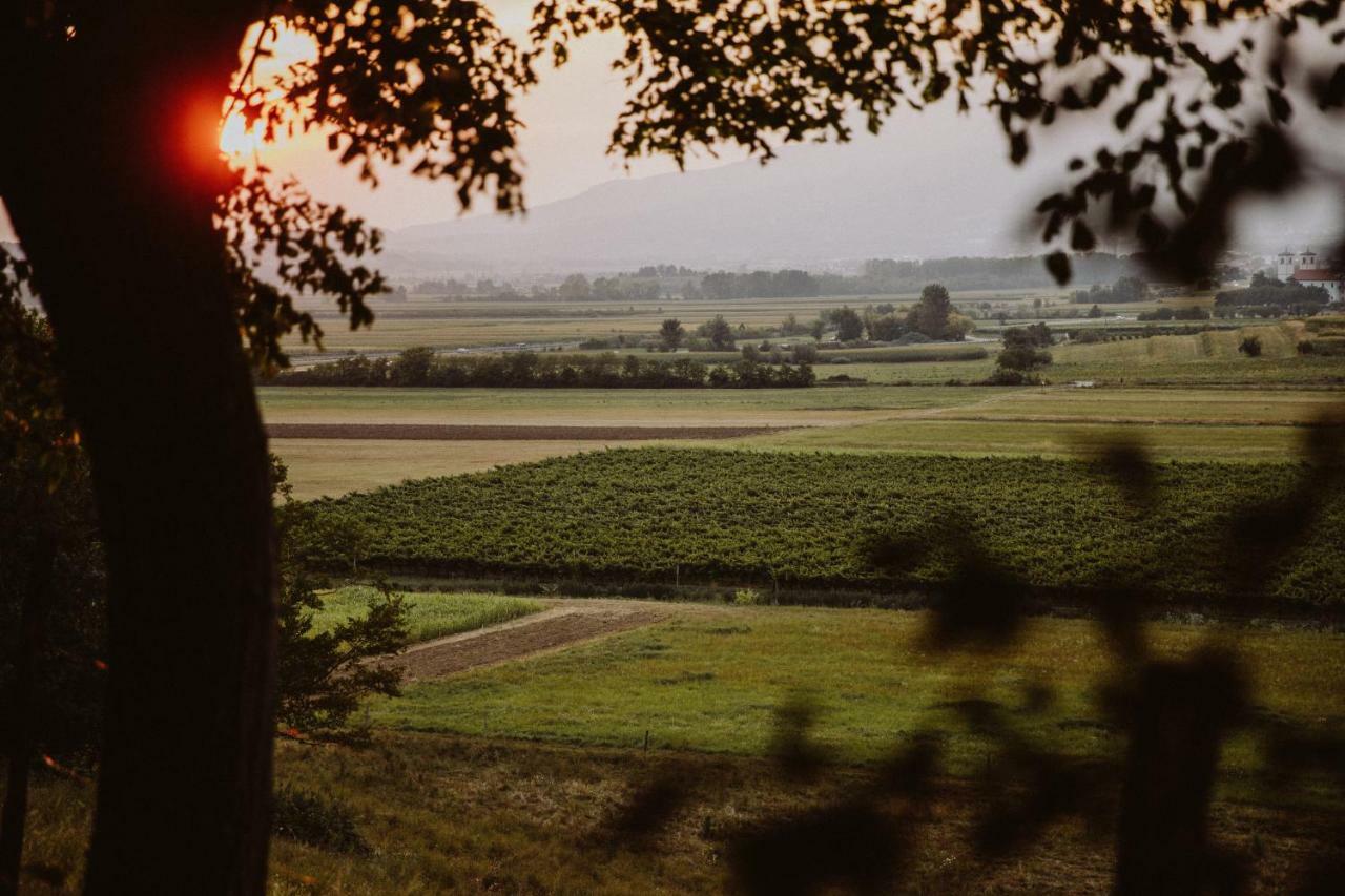 Apartmán Tomažič Family Farm Winery Vipava Exteriér fotografie