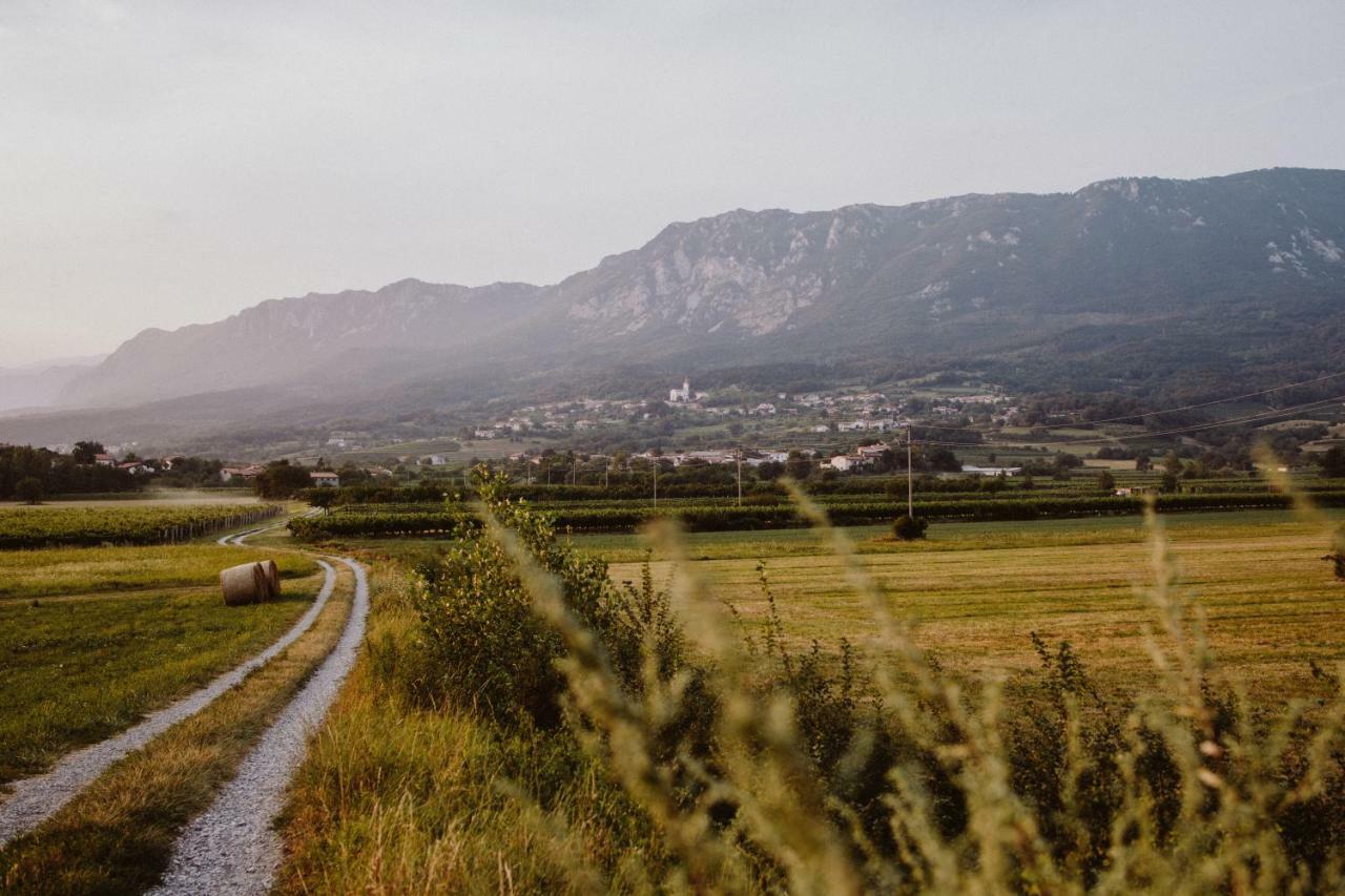 Apartmán Tomažič Family Farm Winery Vipava Exteriér fotografie